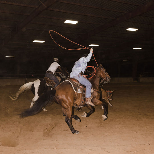 Welcome 2 The Rodeo Vol. 1