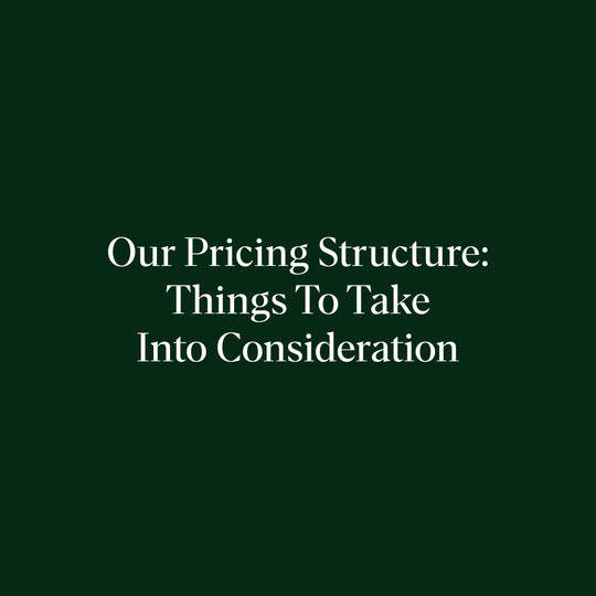 Our Pricing Structure: Things To Take Into Consideration
